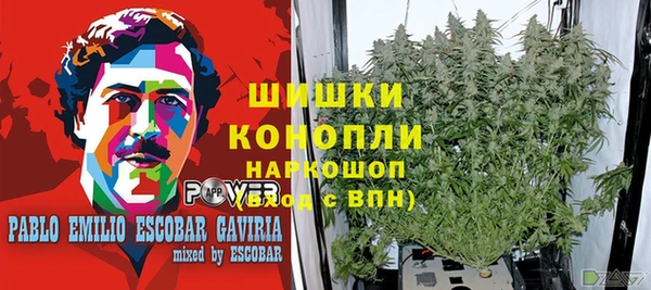 дживик Алзамай
