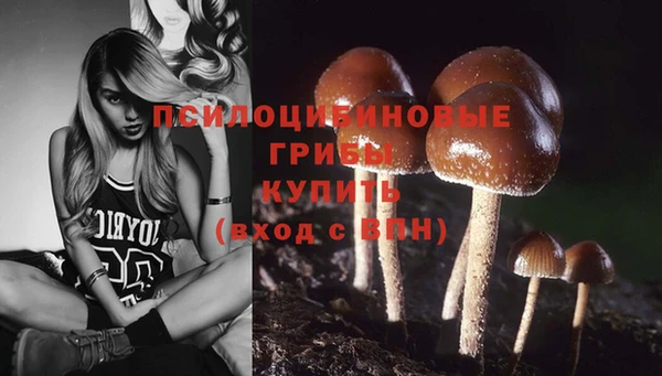 твердый Абдулино