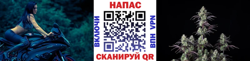Каннабис план  закладки  Зея 